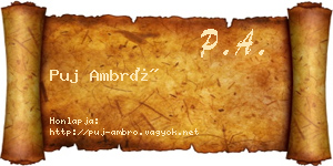 Puj Ambró névjegykártya